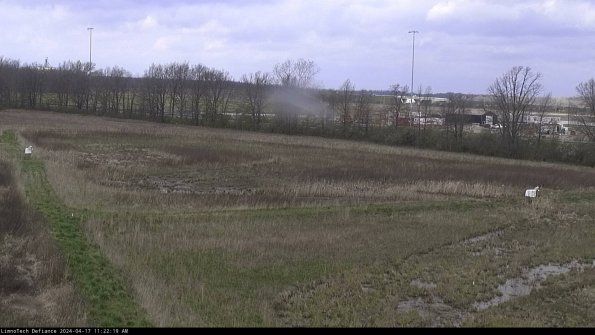 Cell 2_24-04-17_11-22-20-34