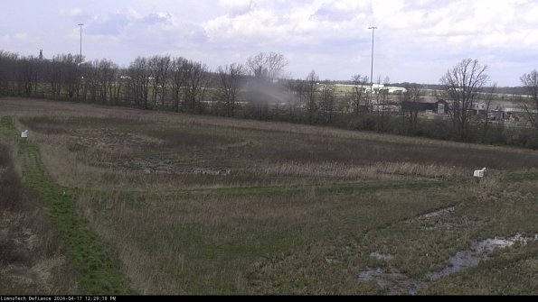 Cell 2_24-04-17_12-29-20-34