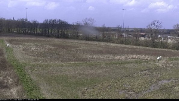 Cell 2_24-04-17_13-02-49-36