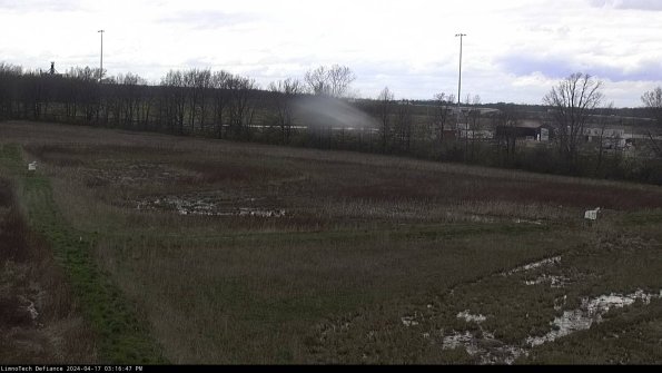 Cell 2_24-04-17_15-16-48-34