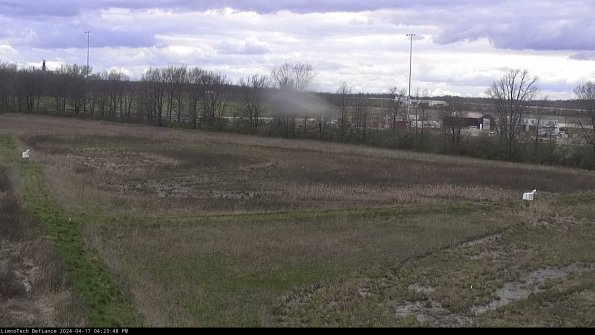 Cell 2_24-04-17_16-23-49-36