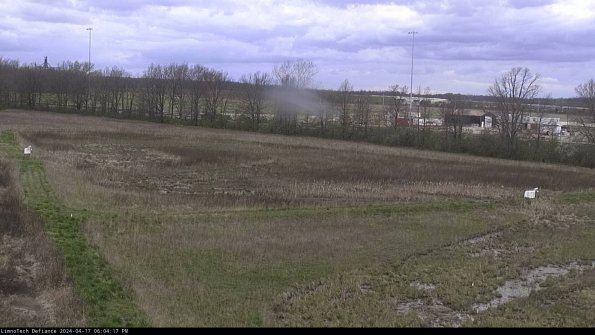 Cell 2_24-04-17_18-04-18-35