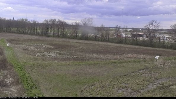 Cell 2_24-04-17_18-37-47-33