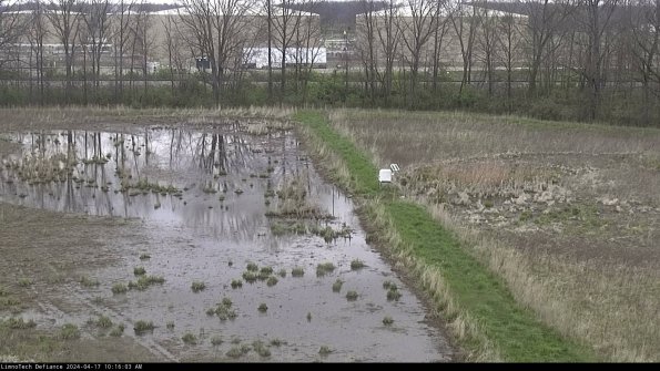 Cell 3 to 4_24-04-17_10-16-04-31