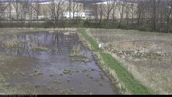 Cell 3 to 4_24-04-17_11-56-32-33