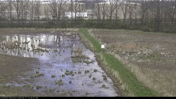 Cell 3 to 4_24-04-17_12-30-02-32