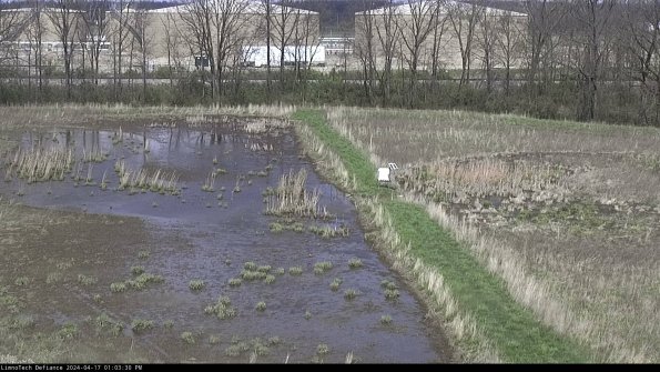 Cell 3 to 4_24-04-17_13-03-31-30