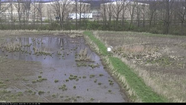 Cell 3 to 4_24-04-17_13-37-01-33