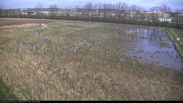 Cell 3_24-04-17_07-28-20-56