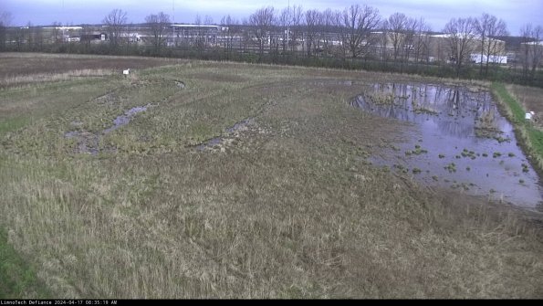 Cell 3_24-04-17_08-35-20-33