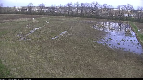 Cell 3_24-04-17_09-08-50-32