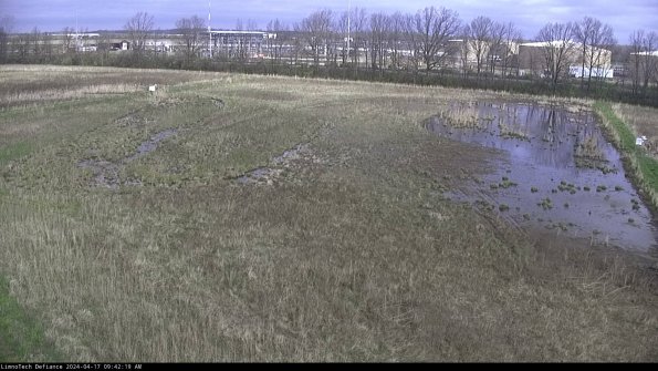 Cell 3_24-04-17_09-42-20-31