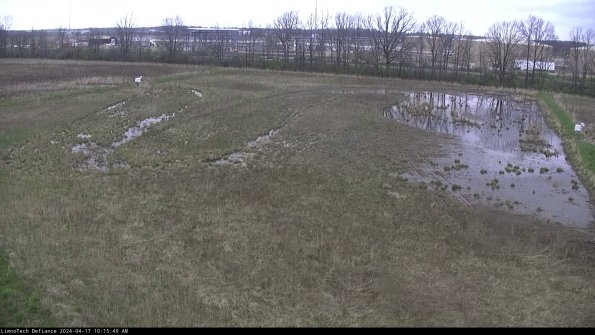 Cell 3_24-04-17_10-15-50-33