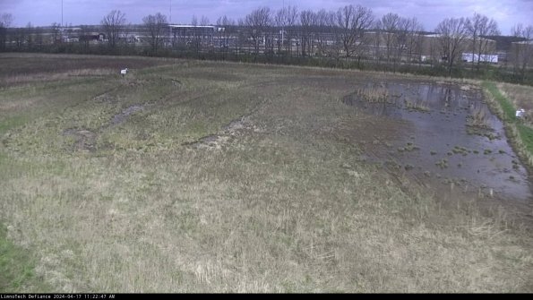 Cell 3_24-04-17_11-22-48-33