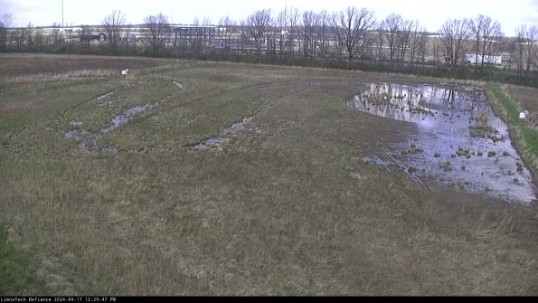 Cell 3_24-04-17_12-29-48-34