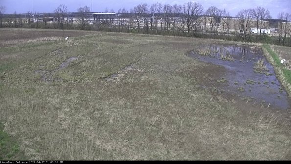 Cell 3_24-04-17_13-03-17-32