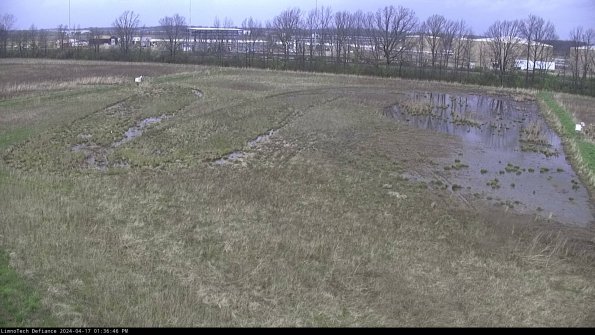 Cell 3_24-04-17_13-36-47-31