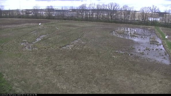 Cell 3_24-04-17_16-24-17-32