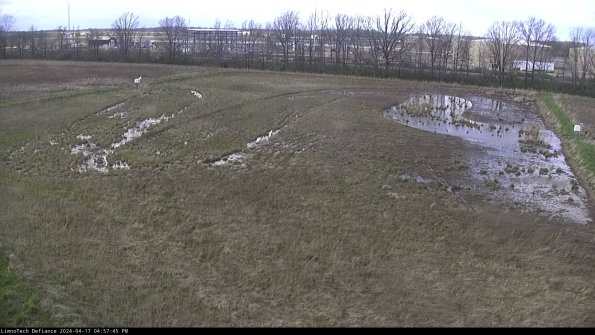 Cell 3_24-04-17_16-57-45-53