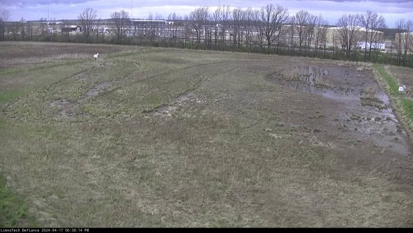 Cell 3_24-04-17_18-38-15-33