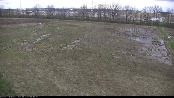 Cell 3_24-04-17_19-11-45-31