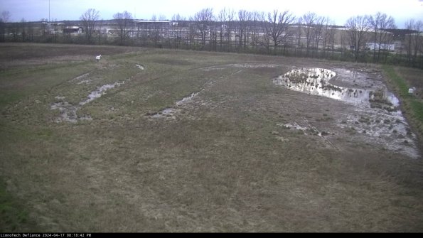 Cell 3_24-04-17_20-18-43-32