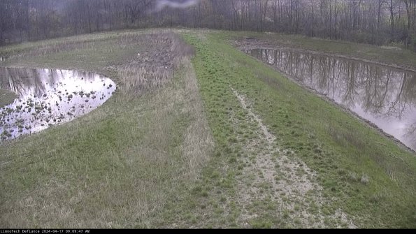 Cell 4 to Basin_24-04-17_09-09-48-34