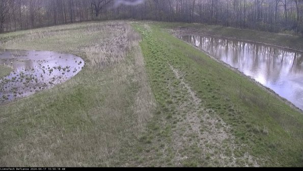 Cell 4 to Basin_24-04-17_10-50-17-30