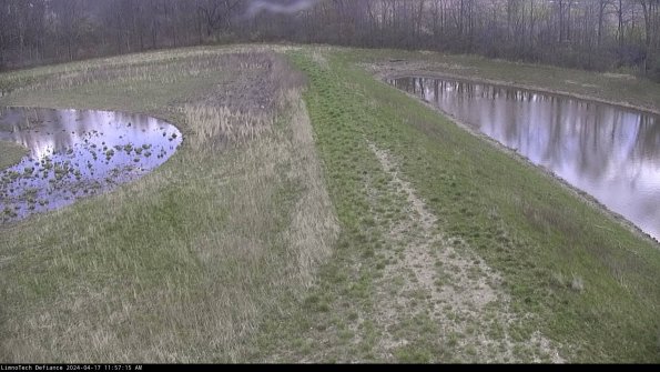 Cell 4 to Basin_24-04-17_11-57-16-34