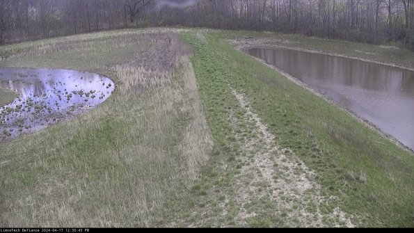 Cell 4 to Basin_24-04-17_12-30-46-33