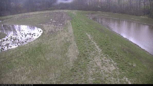 Cell 4 to Basin_24-04-17_14-11-15-32