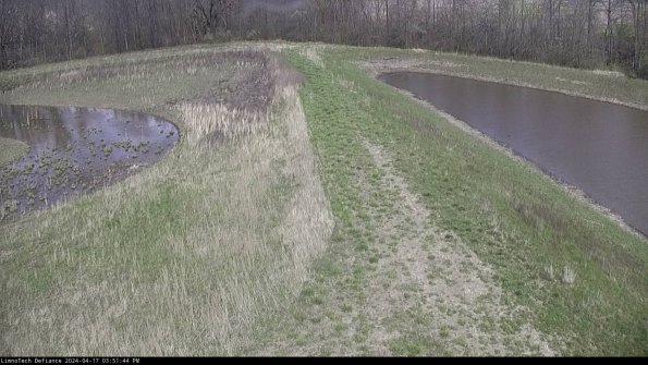 Cell 4 to Basin_24-04-17_15-51-45-35