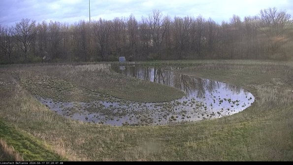 Cell 4_24-04-17_07-28-48-32