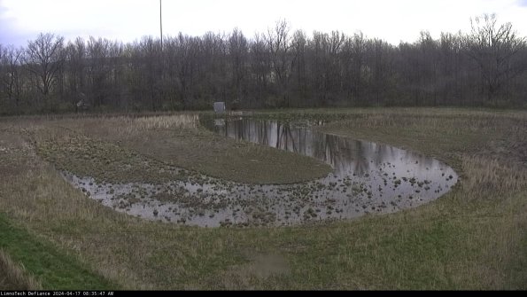 Cell 4_24-04-17_08-35-48-33