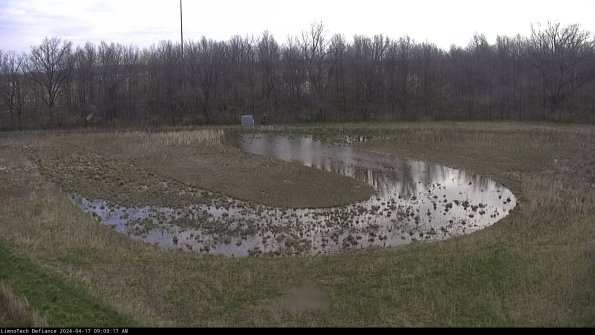 Cell 4_24-04-17_09-09-18-31