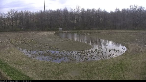 Cell 4_24-04-17_09-42-48-33