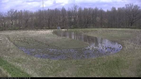 Cell 4_24-04-17_11-56-46-31