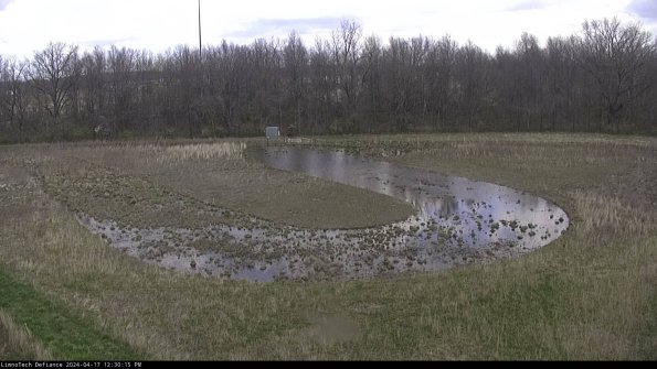 Cell 4_24-04-17_12-30-16-33