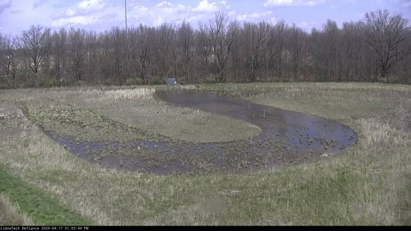 Cell 4_24-04-17_13-03-45-32