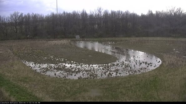 Cell 4_24-04-17_14-10-45-33