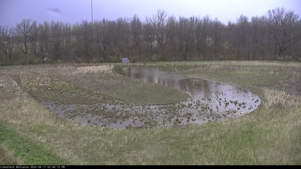 Cell 4_24-04-17_14-44-14-31