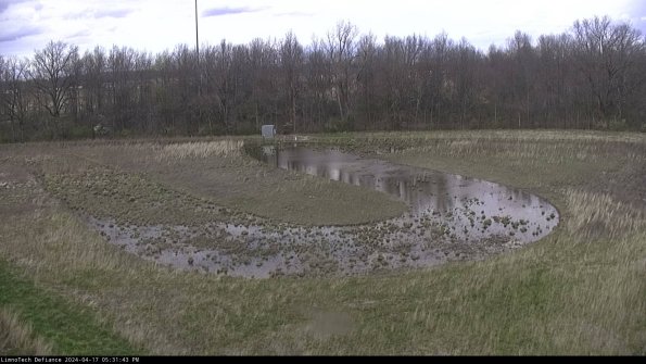 Cell 4_24-04-17_17-31-44-32