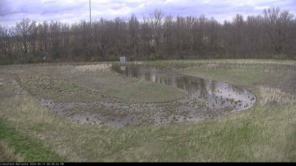 Cell 4_24-04-17_18-38-43-36