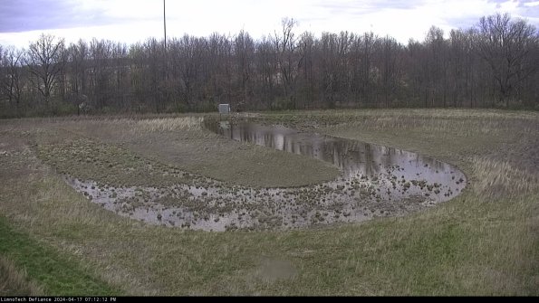 Cell 4_24-04-17_19-12-13-30