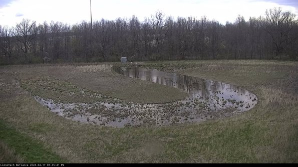 Cell 4_24-04-17_19-45-42-33