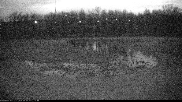 Cell 4_24-04-17_20-52-41-31