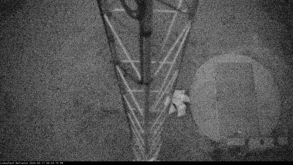 Hatch_24-04-17_20-54-20-34