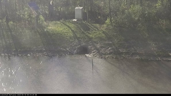 Basin Inflow_24-04-18_09-10-30-44