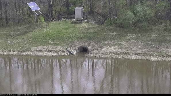 Basin Inflow_24-04-18_12-31-28-49