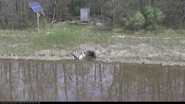 Basin Inflow_24-04-18_15-52-26-35